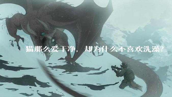 猫那么爱干净，却为什么不喜欢洗澡？